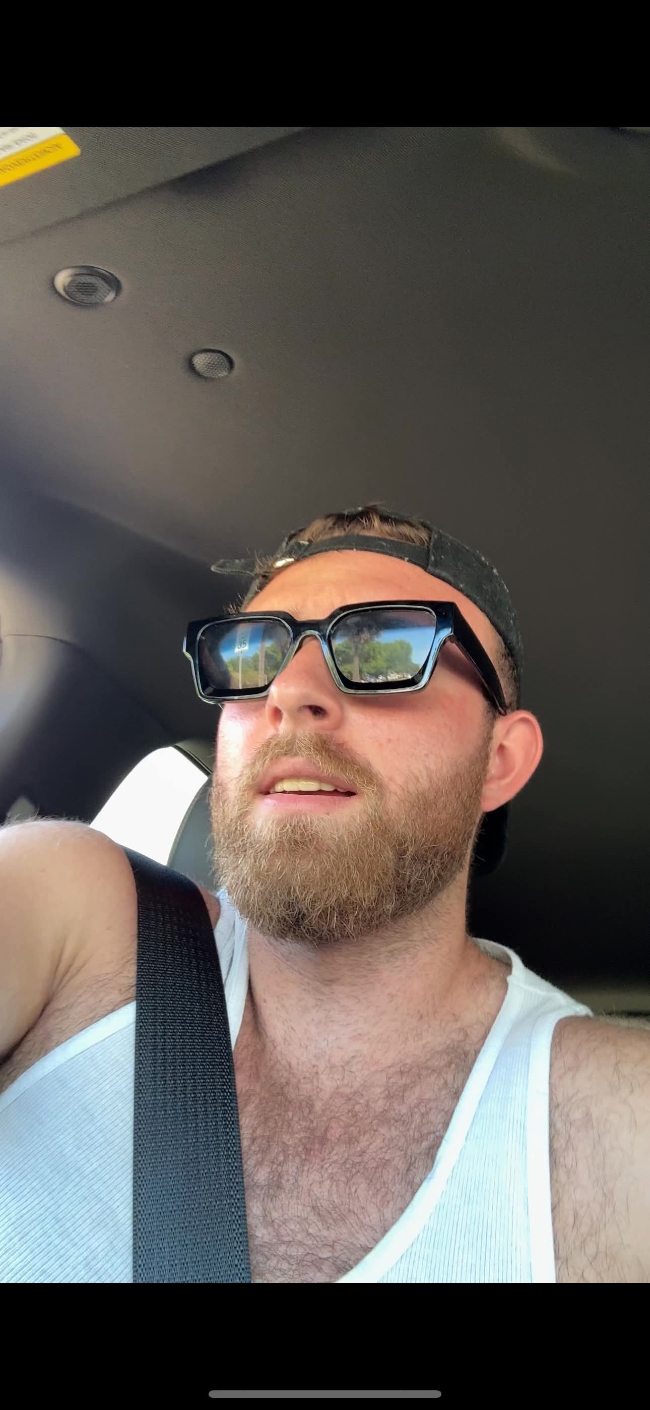 The Zona Guy